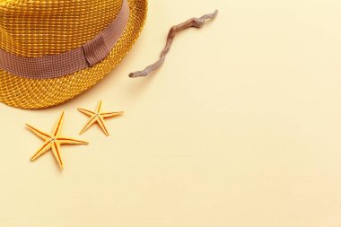 Renkli arka plan üzerinde kadın hasır şapka