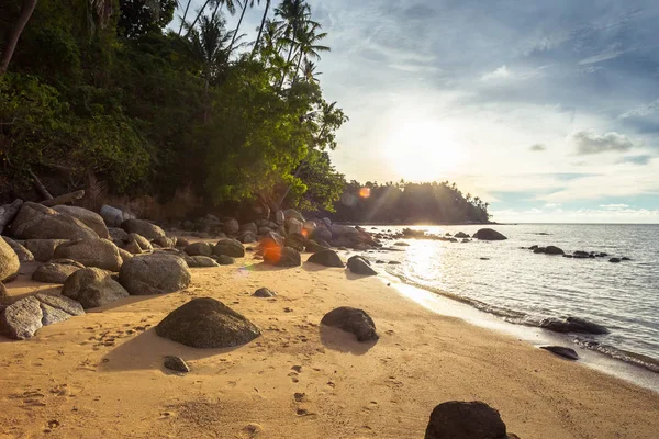 Scenic View Tropical Sand Beach — Stock Photo, Image