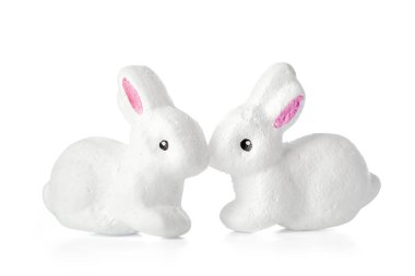 Tavşan beyazda izole