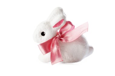 arka plan üzerinde beyaz tavşan izole, yakın çekim