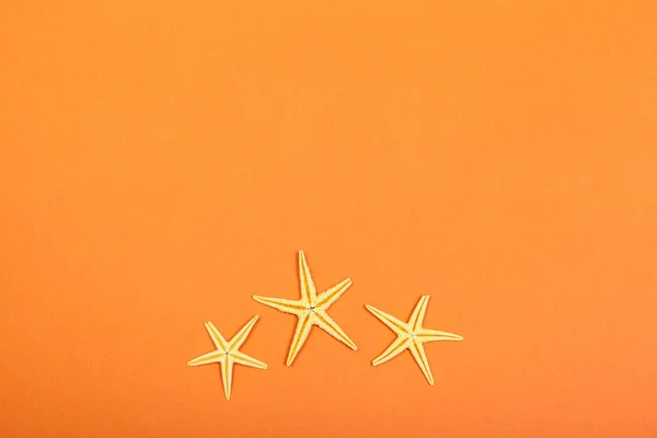 Close Starfish Bright Colorful Vibrant Background — стоковое фото
