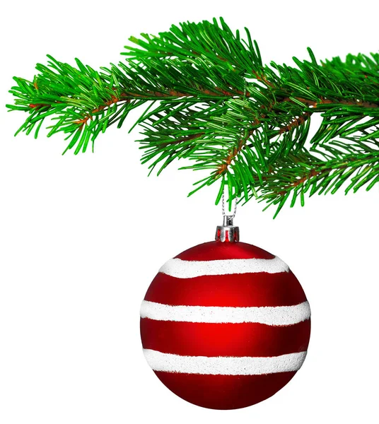 Weihnachtskugel Auf Tannenzweig Isoliert Auf Weißem Hintergrund — Stockfoto