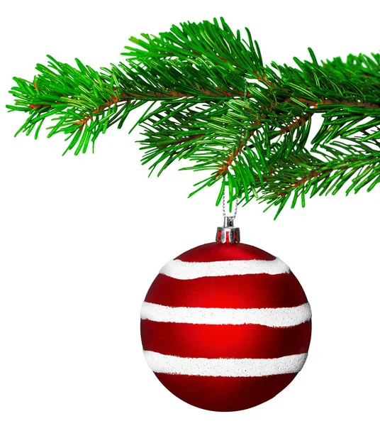 Christmas Ball Fir Gren Isolerad Vit Bakgrund — Stockfoto