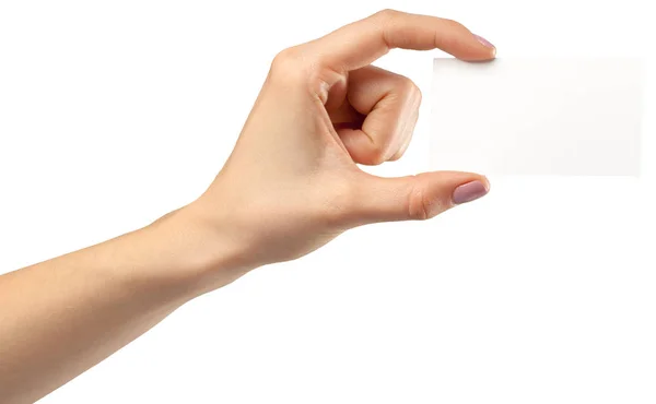 Weibliche Hand Mit Leerem Papier Isoliert Auf Weißem Hintergrund Copy — Stockfoto