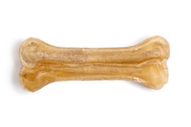 Beyaz arka plan üzerinde izole köpek çiğnemek kemik