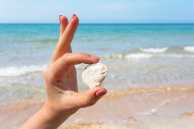 Bir deniz kabuğu sahilde tutan kadının el 