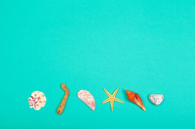 Renkli arka plan üzerinde farklı deniz kabuklarını, yakın çekim