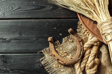 antika arka plan üzerinde eski paslı at nalı