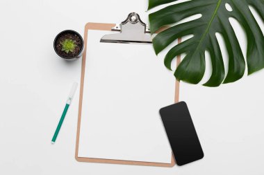 Palmiye yaprakları ve metin için boş alan ile klibi kurulu.