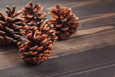 Çam kozalakları ahşap arka plan üzerinde yakın çekim 