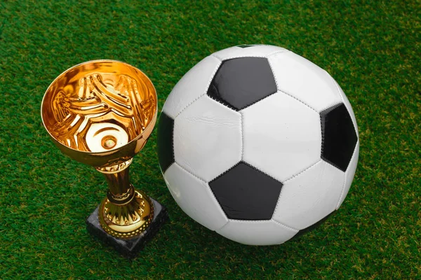 Football cup with football ball on grass against black background