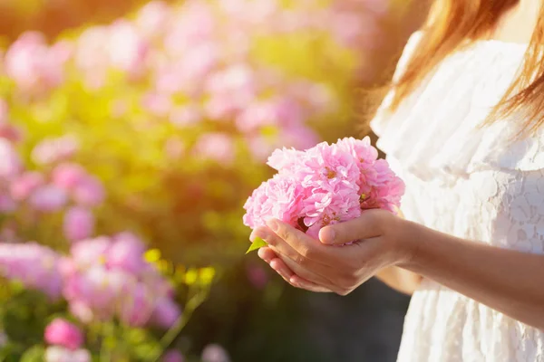 Mulher Segurando Rosas Perto Temporada Verão — Fotografia de Stock