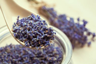 kaşık zekâ kuru lavanta çiçekleri yakın çekim 