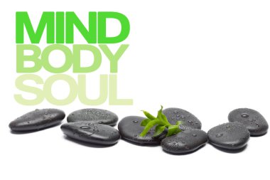 Spa konsept arka plan üzerinde Kapat