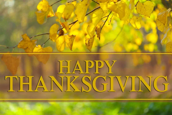 happy thanksgiving day text greeting against autumn leaves