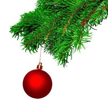 Noel top köknar dalı izole beyaz arka plan üzerinde