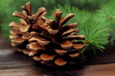Köknar ahşap arka plan ağaç dalları ile Noel kompozisyon.