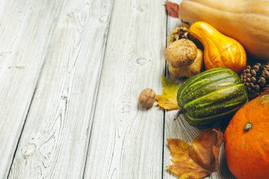 Kabaklar eski rustik ahşap tablo.