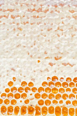 Peteğin bal ile kapatın. Doğal arka plan.