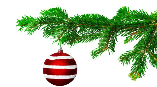 Christmas Ball Fir Gren Isolerad Vit Bakgrund — Stockfoto