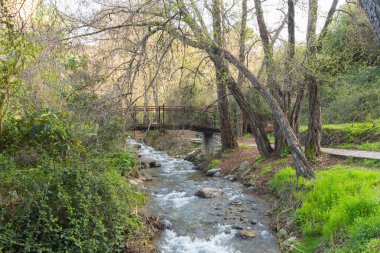 Taş, doğal arka planda çalışan su akışı.