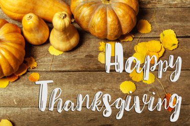 mutlu Şükran günü yaratıcı parlak poster 