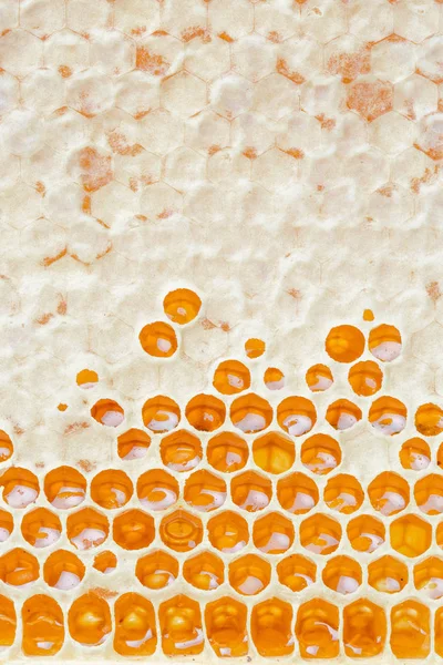 Close Van Honingraten Met Honing Natuurlijke Achtergrond — Stockfoto