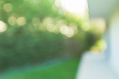 Parlak doğal yeşil bokeh, bulanık arka plan.