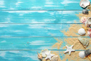 Deniz kabuklarıyla yaz zamanı kavramı