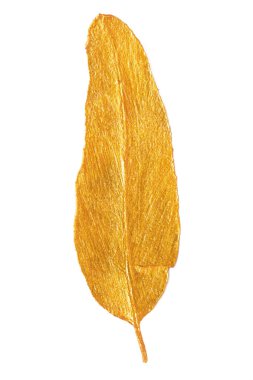 altın yaprak beyaz zemin üzerine izole