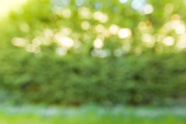 Блискучий Натуральний Зелений Боке Абстрактний Розмитий Фон — стокове фото