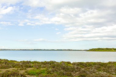 Tropik sahil, plaj, doğal arka plan.