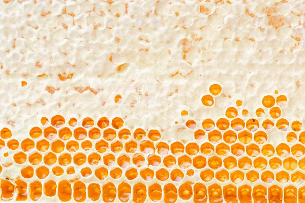 Honingraten Met Honing Natuurlijke Achtergrond — Stockfoto