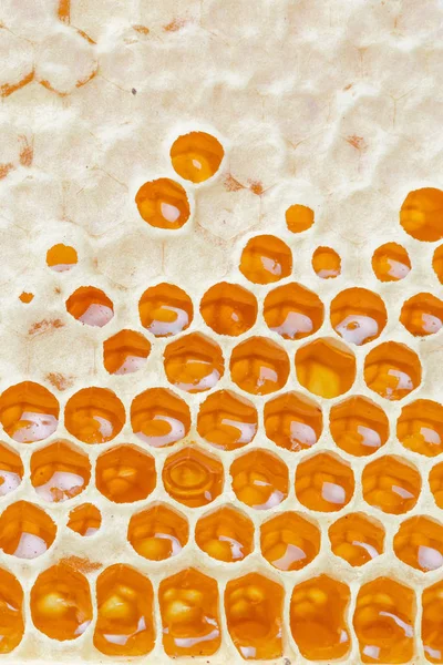 Honingraten Met Honing Natuurlijke Achtergrond — Stockfoto