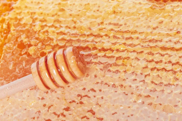 Fresh Honeycombs Wooden Spoon — Stock Photo, Image