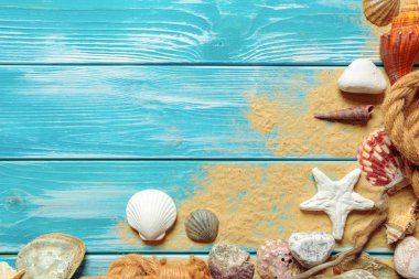 Mavi ahşap arka plan üzerinde farklı deniz kabukları