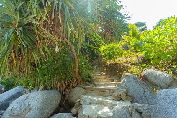 Arka planda, tropik bitkilerin yaprakları yakın çekim