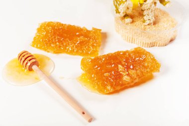 Beyaz arkaplanda taze bal petekleri