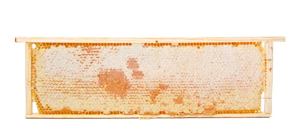 Söta Honeycomb Isolerad Vit Bakgrund — Stockfoto