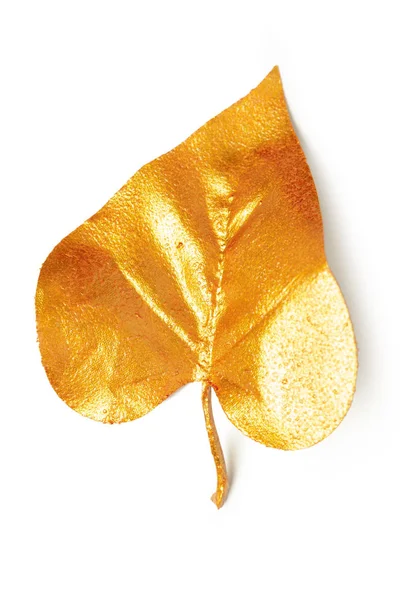Золотые Листья Белом Фоне — стоковое фото