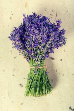 Lavanta çiçekleri kapanıyor