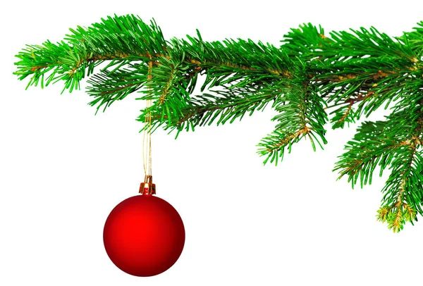 Christmas Ball Fir Gren Isolerad Vit Bakgrund — Stockfoto