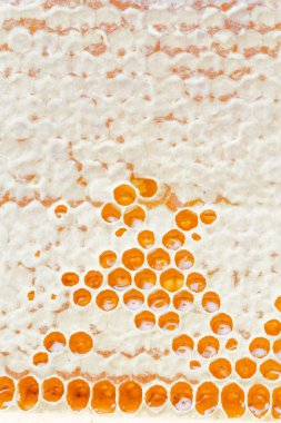 Peteğin bal, doğal arka plan ile