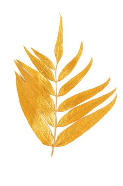 Beyaz arkaplanda izole edilmiş altın yapraklar