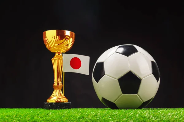 Football cup with football ball on grass