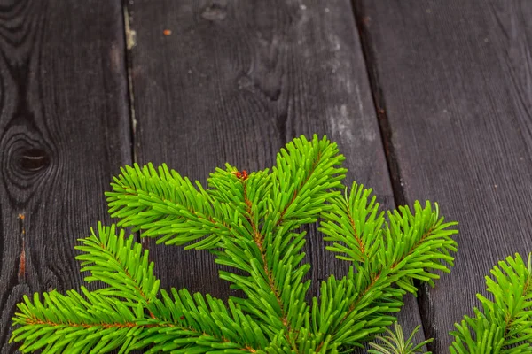 Christmas Pine Tree Branches Wooden Board — Stock Photo, Image