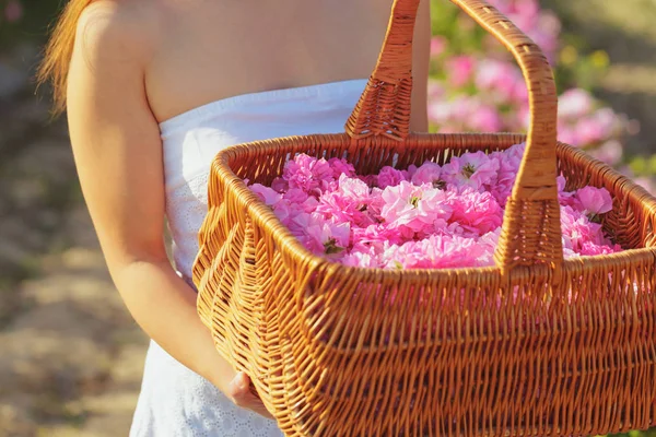 Красива Молода Жінка Позує Біля Троянд Саду — стокове фото