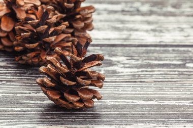 Ahşap masada çam kozalağı