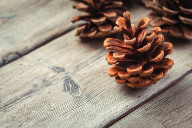 Ahşap masada çam kozalağı