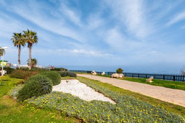 Tropik sahil, arka plan, kumsalda yakın çekim